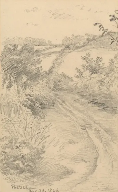 A Bushy Lane With A Field Beyond