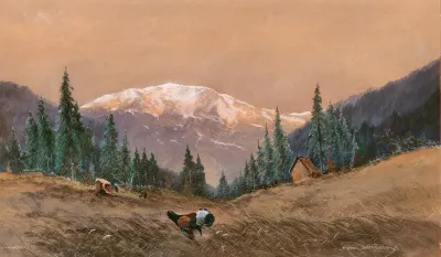 A Capercaillie At The Edge Of A Wood At Sunset
