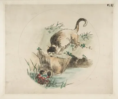 A Cat Hunting A Crab