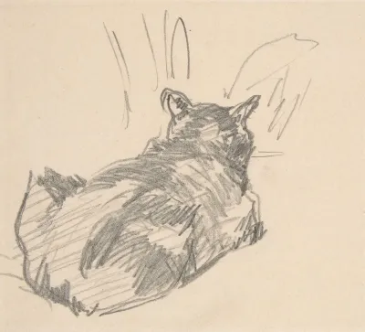 A Cat Resting On All Fours Seen From Behind