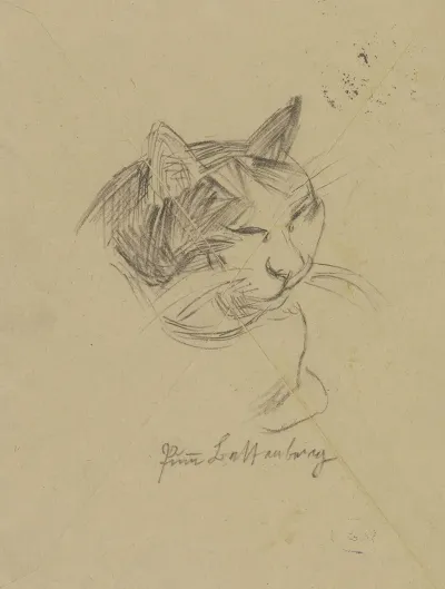A Cats Head