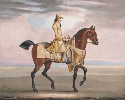 A Chestnut Horse At Exercise