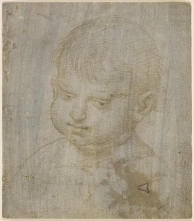 A Childs Head