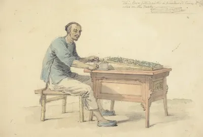A Chinese Peasant Selling Betel