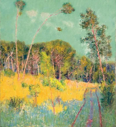 A Clearing In The Forest