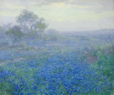 A Cloudy Day Bluebonnets Near San Antonio Texas