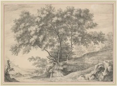 A Clump Of Trees On A Rocky Outcrop