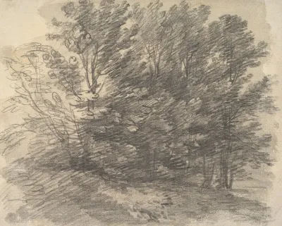 A Clump Of Trees