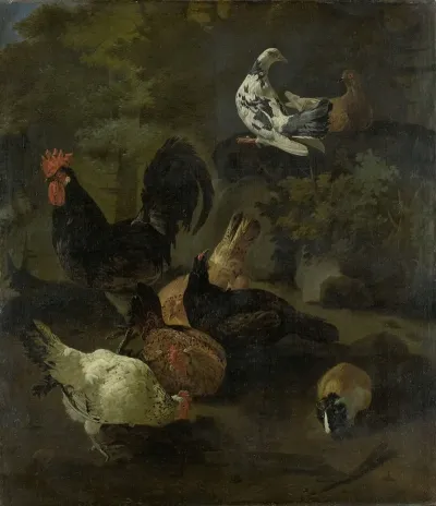 A Cock Hens Doves And A Marmot