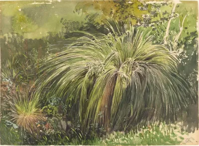 A Corner Of A Meadow With Fountaingrass