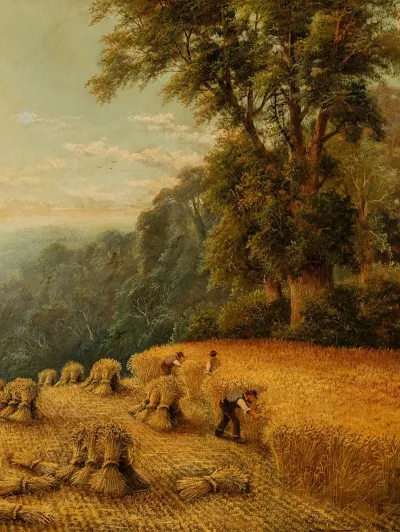 A Cornfield Shire Surrey