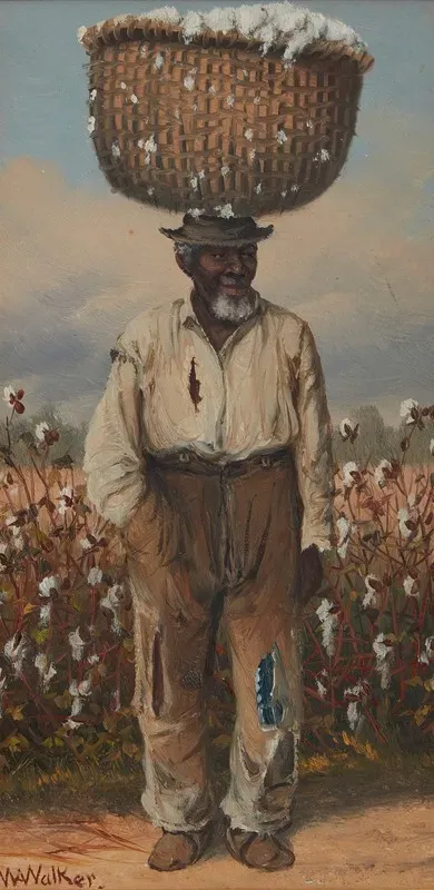 A Cotton Picker