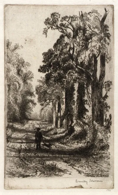 A Country Lane 4