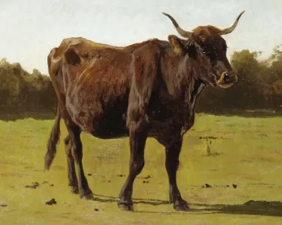 A Cow Grazing In A Meadow