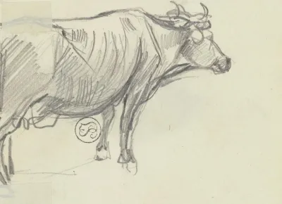 A Cow To The Right