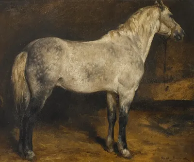 A Dapple Grey Horse