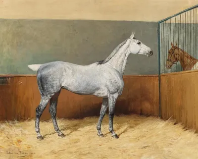 A Dappled Grey Horse