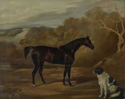 A Dark Bay Hunter And A Seated Spaniel In The Park At Harewood House