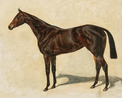 A Dark Brown Thoroughbred Mare