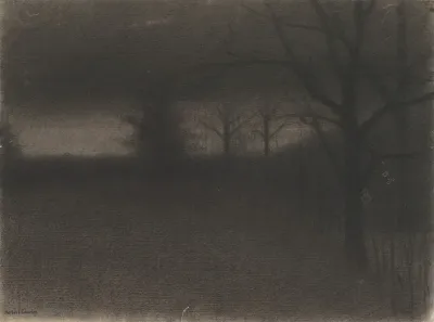 A Dark Landscape