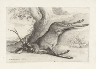 A Dead Stag Lying In A Wooded Landscape