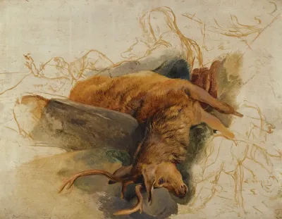 A Dead Stag With Sketched Figures Of A Ghillie And Hounds