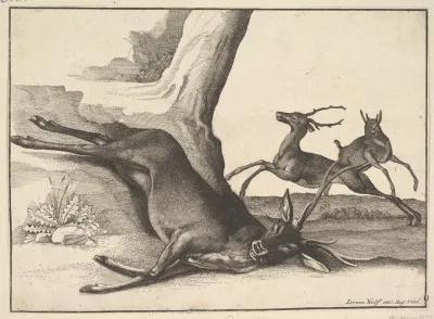 A Dead Stag