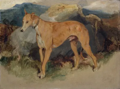 A Deerhound