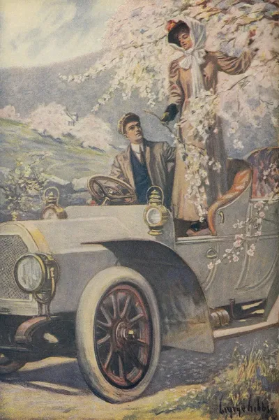 A Detail Of Spring Motoring