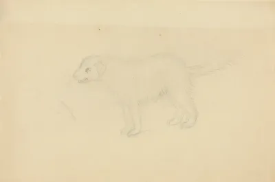 A Dog 2 2