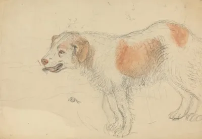 A Dog 3 2
