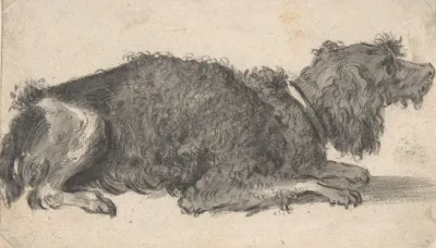 A Dog 3