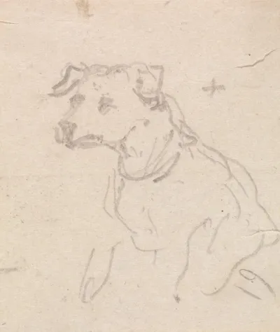 A Dog 4