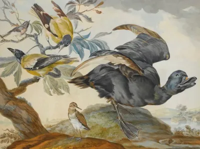 A Duck And Four Other Birds Three On A Branch