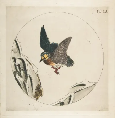 A Duck Flying Over Snow Covered Branches