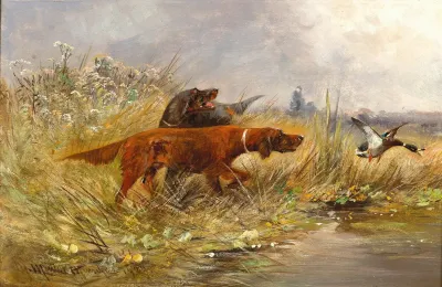 A Duck Hunt