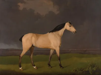 A Dun Hunter On The South Bank Of The River Humber Lincolnshire