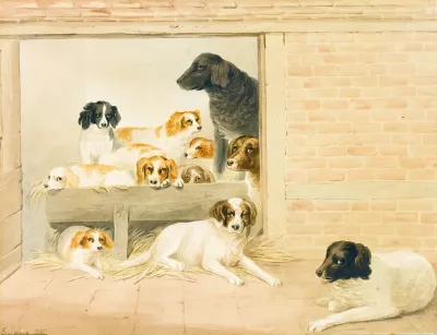 A Family Of Dogs