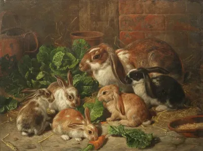 A Family Of Rabbits