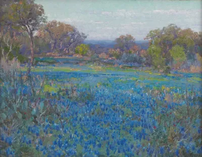 A Field Of Blue Bonnets Late Afternoon Sunlight