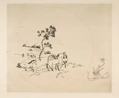 A Field