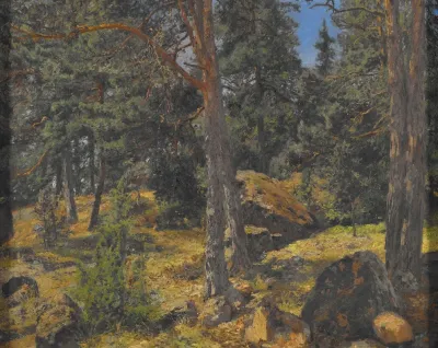 A Fir Bank