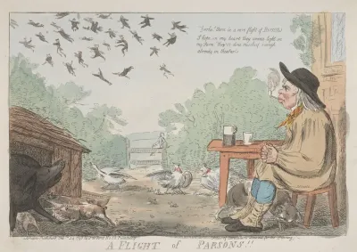 A Flight Of Parsons