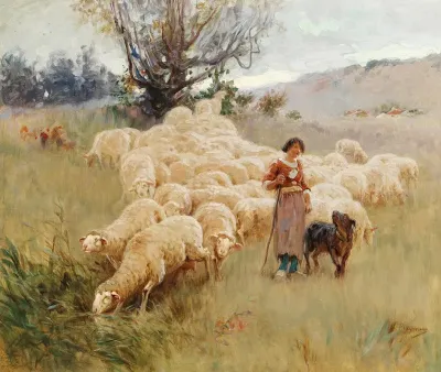 A Flock Of Sheep