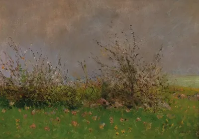 A Flower Meadow