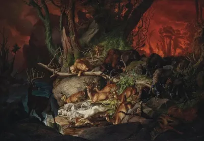 A Forest Fire North America