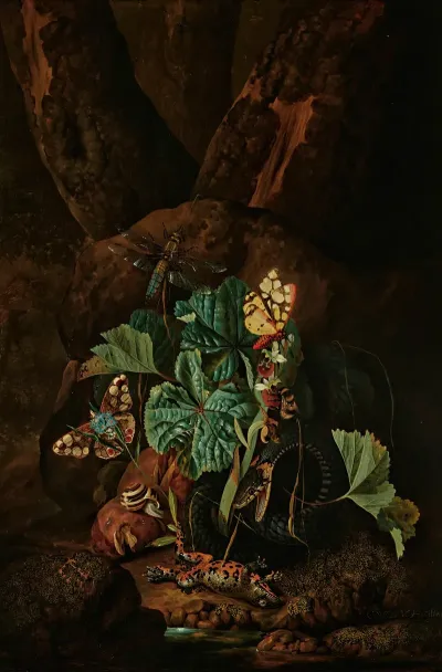 A Forest Floor With A Snake Frog Snail Butterflies And Other Insects