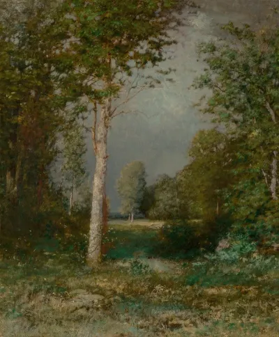 A Forest Glade 2
