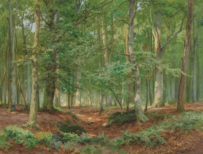 A Forest Glade