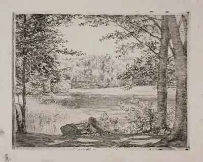 A Forest Lake Near Hellebaek